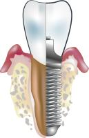 Dentist image 1