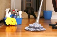 Cristal's Cleaning Services LLC image 1