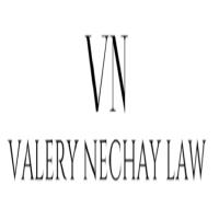 Law Office of Valery Nechay image 3