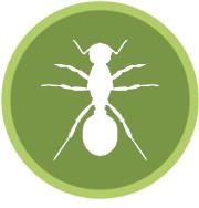Advanced Pest Services image 1