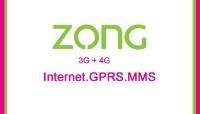 Zong Internet Packages  image 1