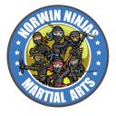 Norwin Ninjas logo