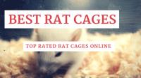 Rat Central image 1