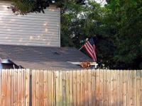 Fence Builders Wichita Falls image 2
