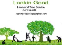 Lookin Good Lawn and Tree Service image 1