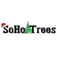 SoHo Trees image 9