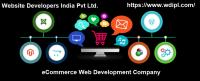 Web Developers India Pvt. Ltd. image 2