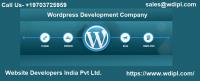 Web Developers India Pvt. Ltd. image 1