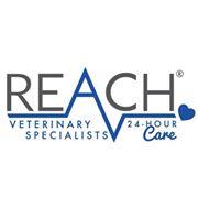 REACH Veterinary Specialists image 1