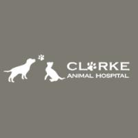 Clarke Animal Hospital image 1
