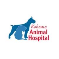 Kokomo Animal Hospital image 1