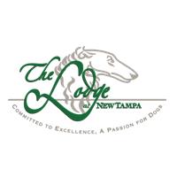 The Lodge at New Tampa image 1