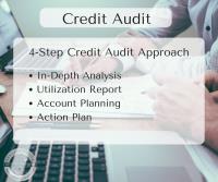 Lenders Choice Credit Solutions image 3