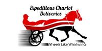 Expeditious Chariot Deliveries image 2