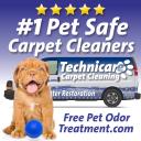 Technicare Carpet Cleaning and more... logo