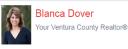 Blanca Dover Realtor logo