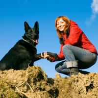 Windy Ridge Kennel image 3