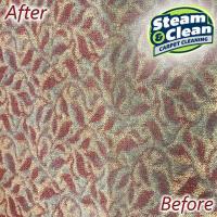 Steam & Clean Carpet Cleaning LLC image 3