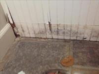 Mold Remediation and Water Restoration Pros image 3