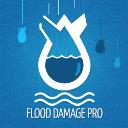 Flood Damage Pro Burke logo