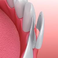 Magnolia Dental image 8