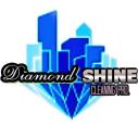 Diamond Shine Cleaning Pro logo