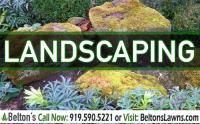 Belton's Professional Lawn Care & Landscaping image 2