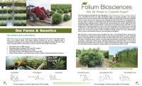 Folium Biosciences CBD image 4
