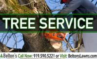 Belton's Professional Lawn Care & Landscaping image 3