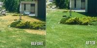 Rock Hill Lawn Pros image 2