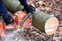 Fayetteville Tree Care Services image 2