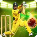 Cricket Gaming Inc. logo