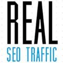 Real SEO Traffic  logo