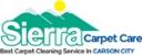 Carpet Cleaning Carson City logo