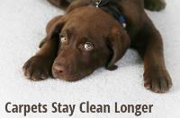 Heaven's Best Carpet Cleaning Coeur d'Alene ID image 4