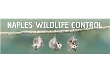 Naples Wildlife Control image 1