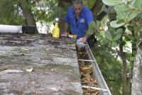 gutter cleaning pompano beach image 1