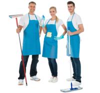 Spring Cleaning Professionals Solutions image 1