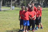ALM Sports @ Hialeah Gardens Middle School image 6