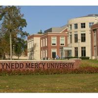 Gwynedd Mercy University image 2