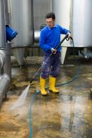 Hoosier Pro-Cleaners / Pressure Washing Services image 1