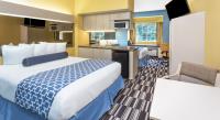 Microtel Inn & Suites by Wyndham Stockbridge image 17