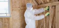 Steven Cannon Elite Services And Mold Remediation image 1