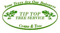 Tip Top Tree Service image 1