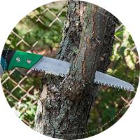 Austin Tree Service Pros image 2