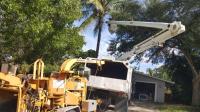 Lopez Tree Service Fort Myers image 2