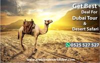 Desert Safari Dubai image 6