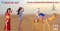 Desert Safari Dubai image 7
