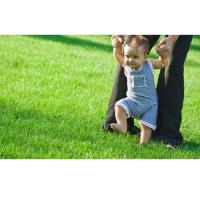 10X Turf Lawn Care Services image 3