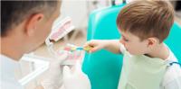Are You Looking For Pediatric Dentistry In Tampa ? image 47